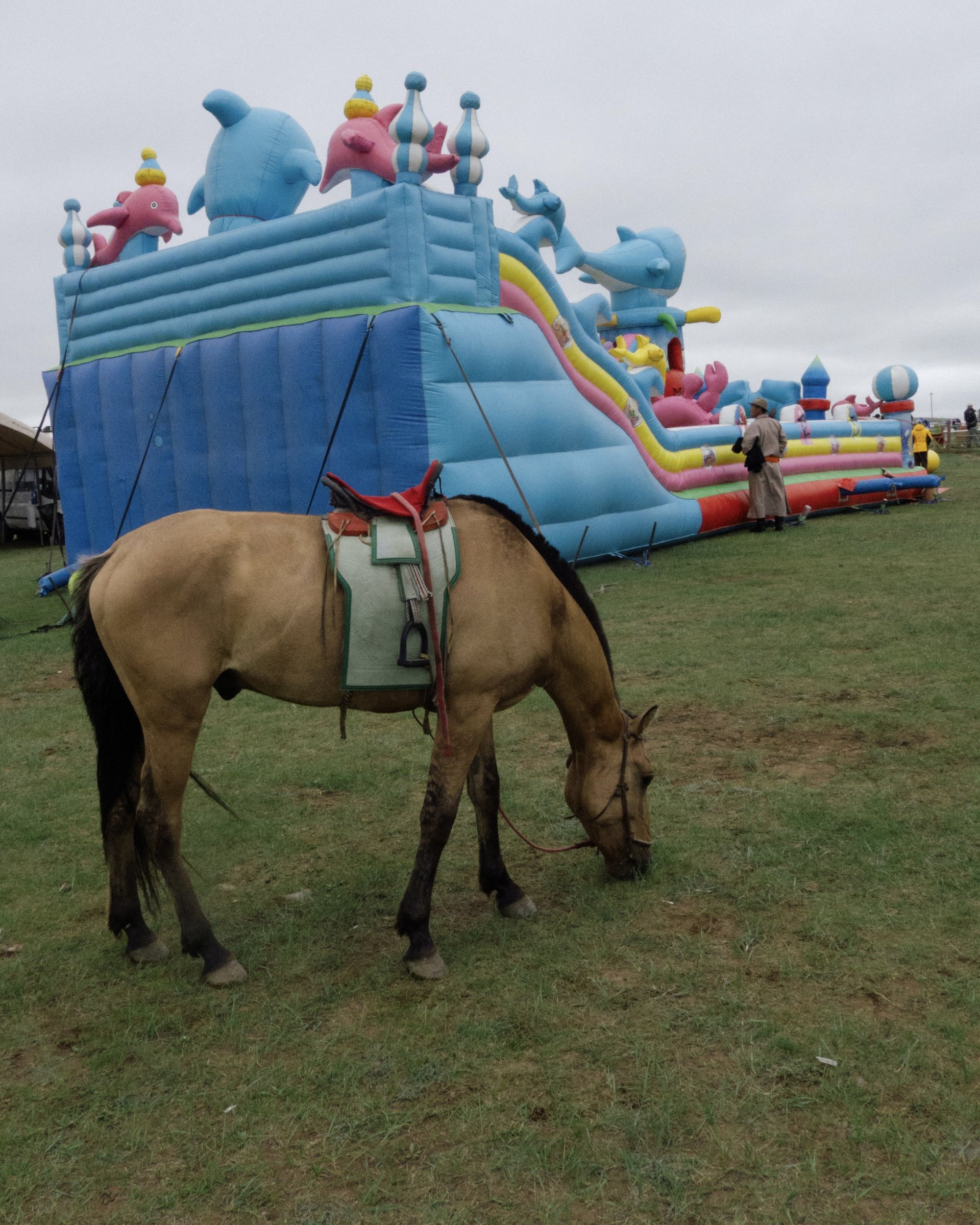Horse Behind Castle