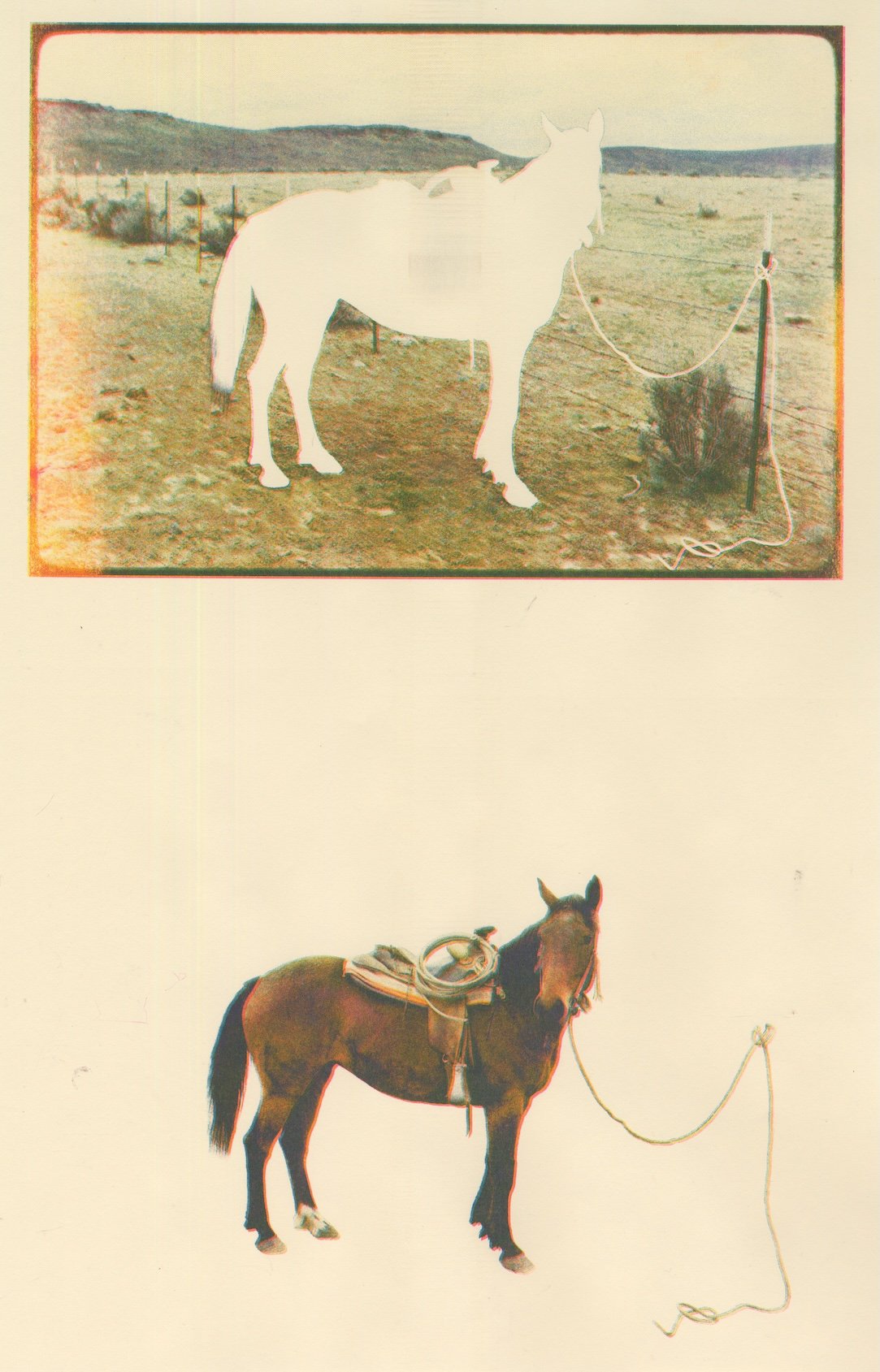 Negative Space Horse