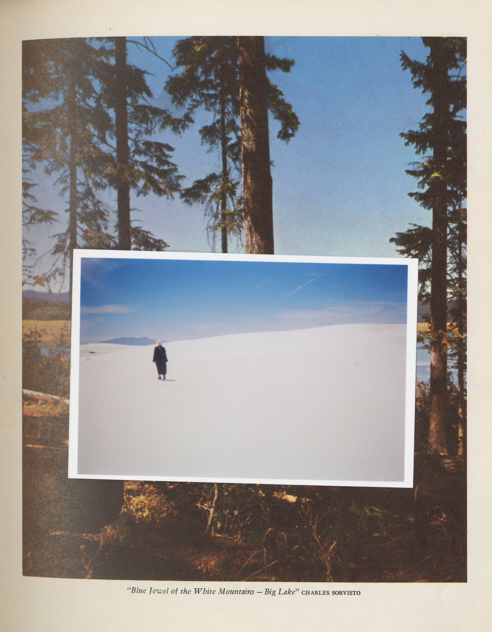 White Mountain